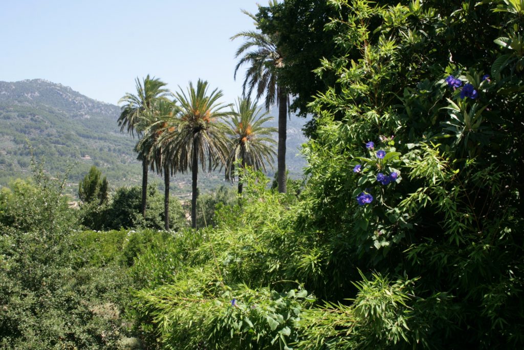 oller Botanical Gardens © Sten / Wikimedia Commons