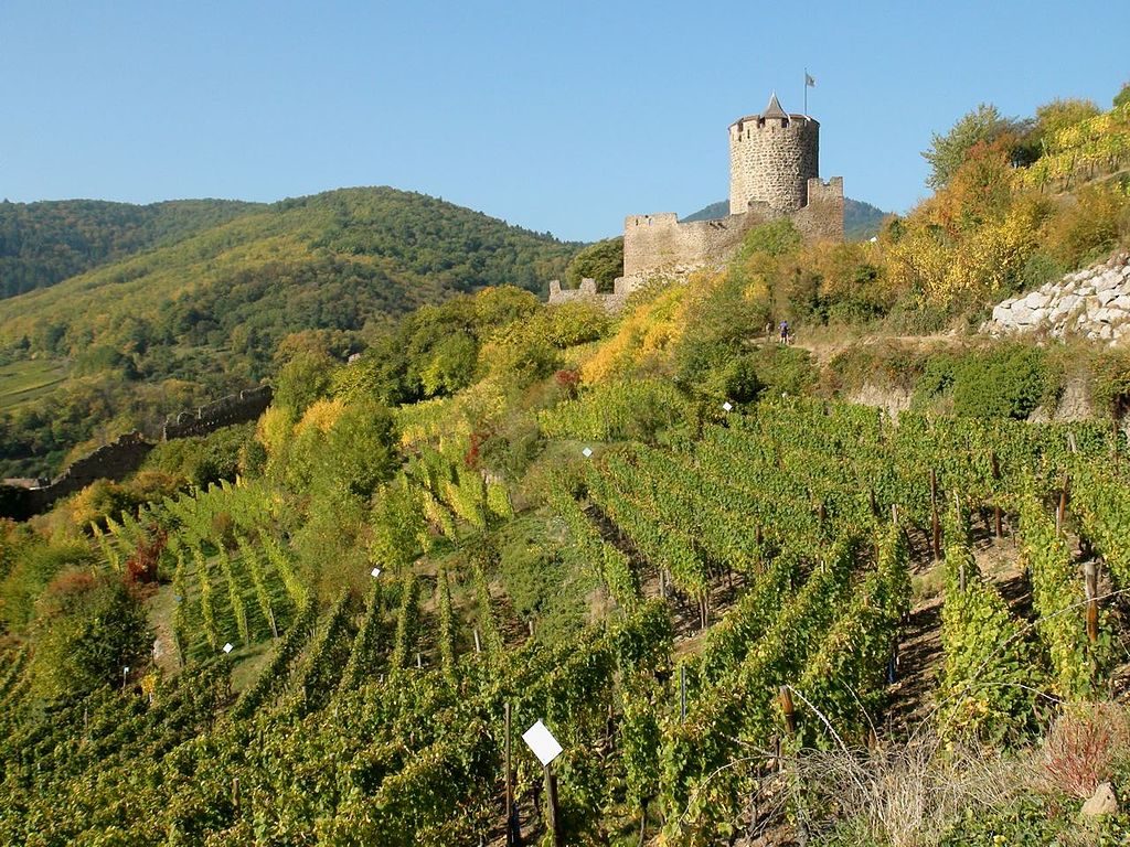 Castle of Kaysersberg │© Anselrene / Wikimedia Commons