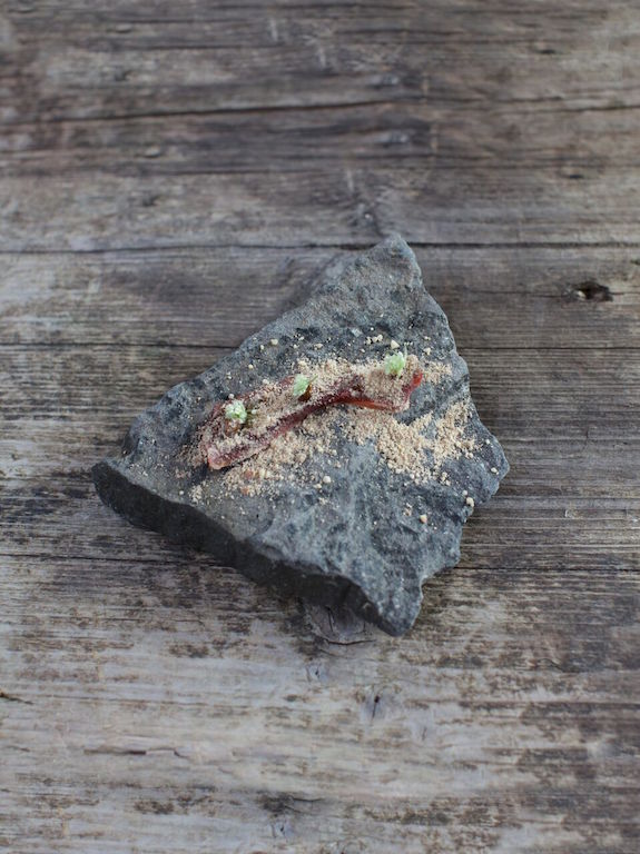 Lamb | Courtesy of Dill Restaurant