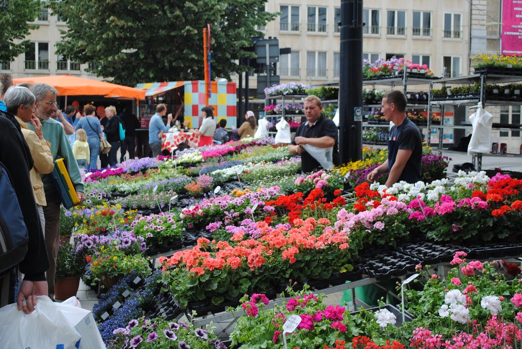 The Best Markets to Visit in Ghent