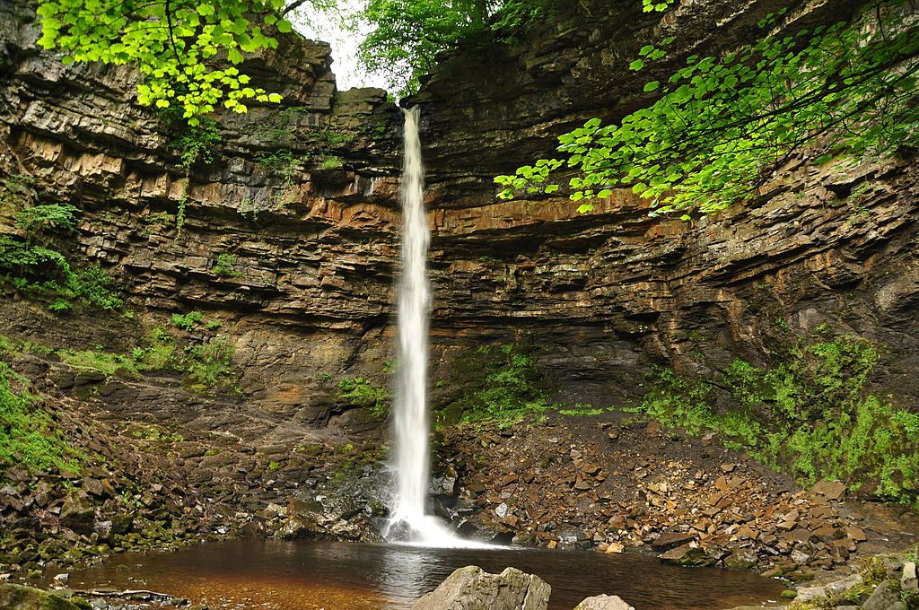 Hardraw Force