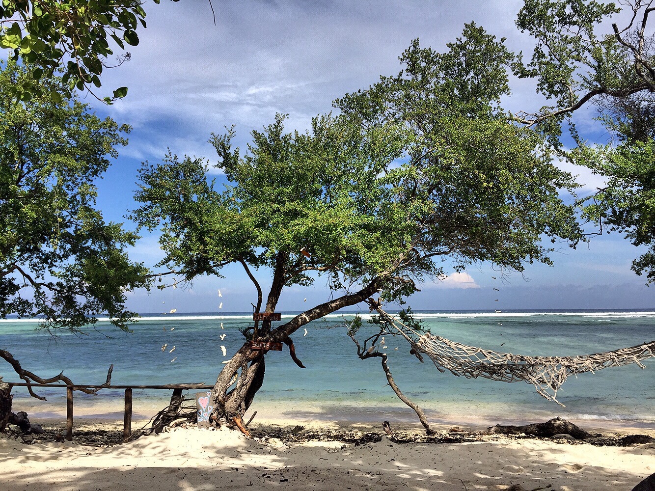 Gili T | © Nikki Vargas