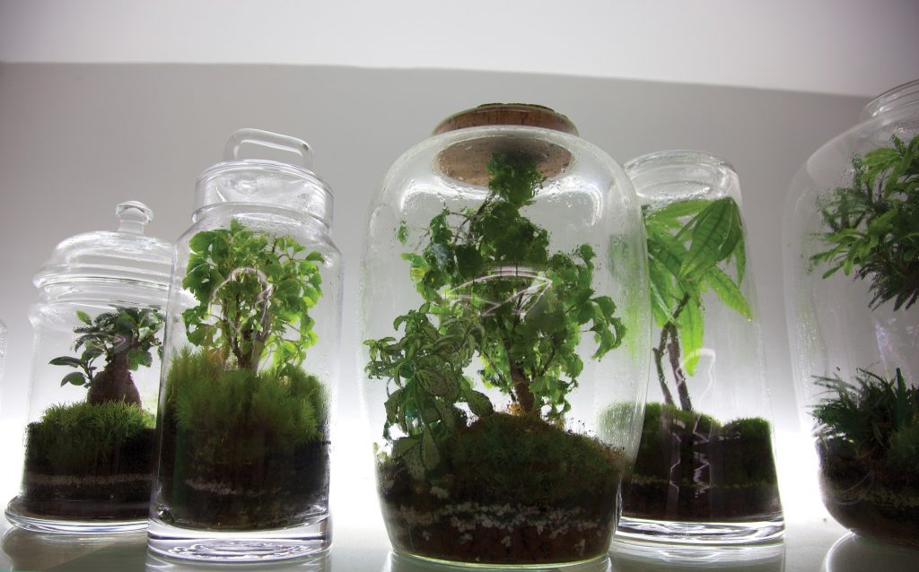 Jarred creations │ Courtesy of Green Factory