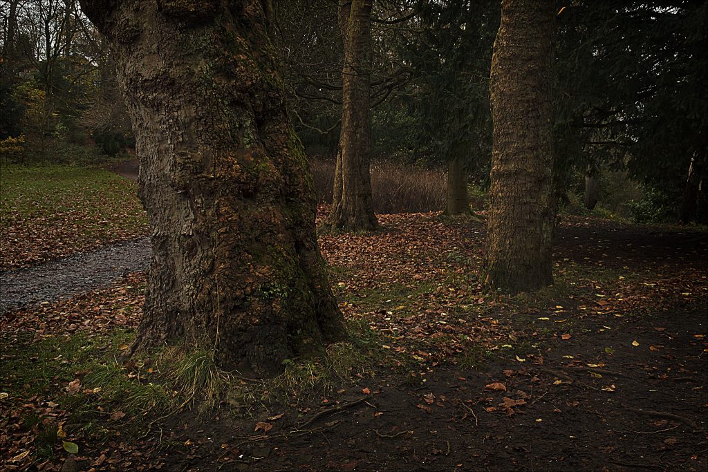 Jesmond Dene | © dun_deagh/Flickr