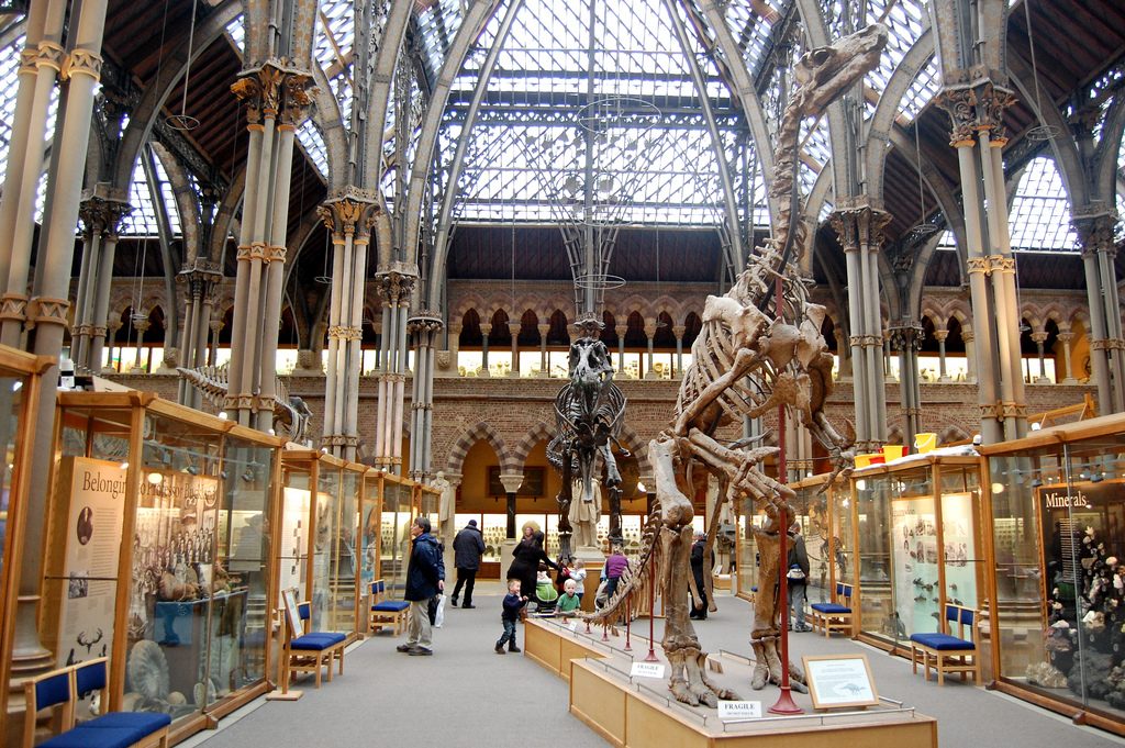 Oxford Natural History Anthropology Museum Oxford Natural History Anthropology Museum