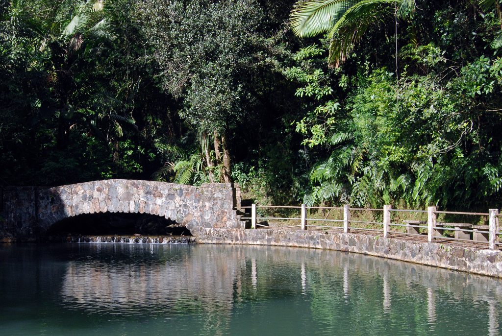 The Best Hiking Trails in Puerto Rico