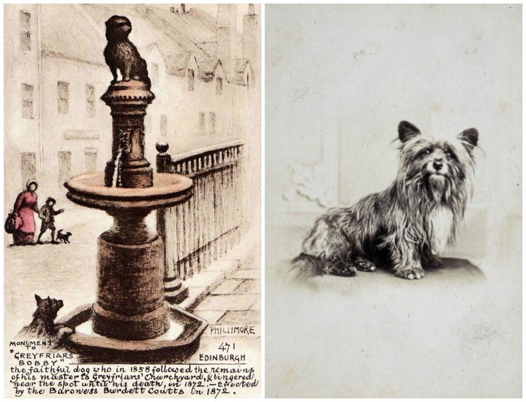 Drawing Of Greyfriars Bobby By Reginald P. Phillimore c.1910 | © WikiCommons // Possible Drawing Of Greyfriars Bobby, Artist Unknown | © National Galleries Of Scotland/Flickr