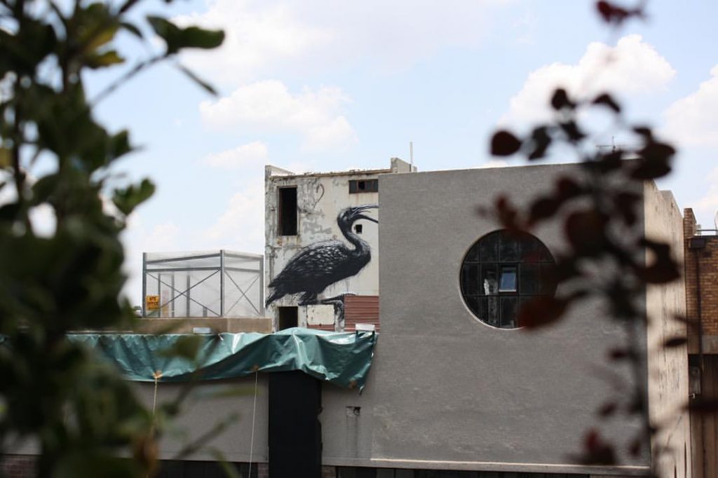 Street art Roa
