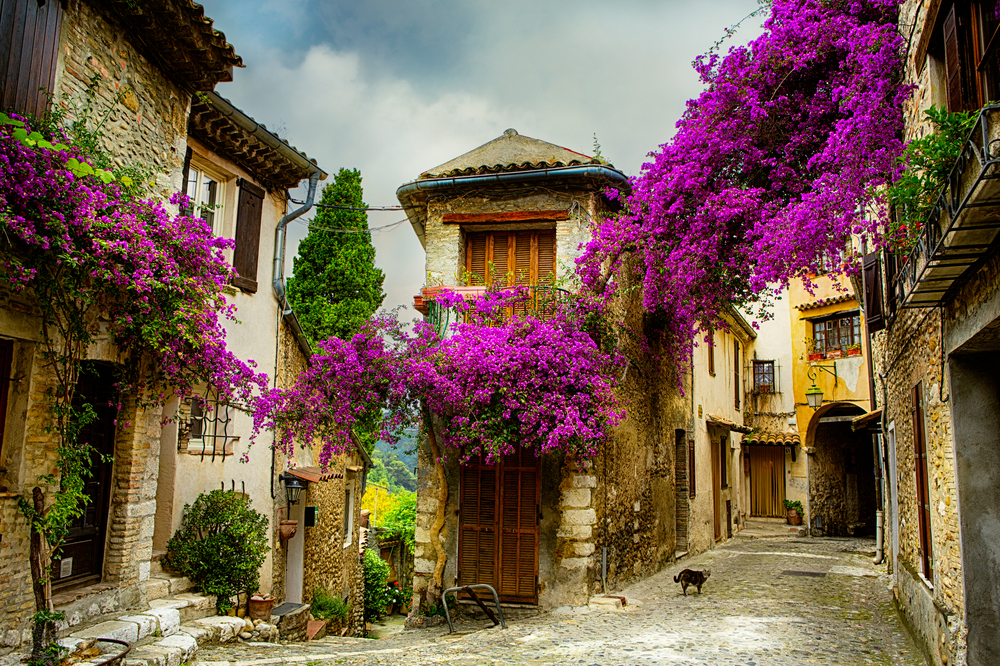 © Konstanttin/Shutterstock