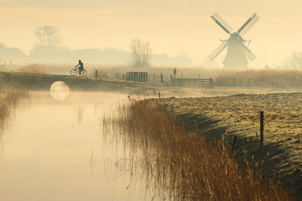 © Sander van der Werf/Shutterstock