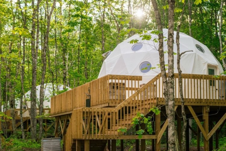 treetop-haven-1024x684
