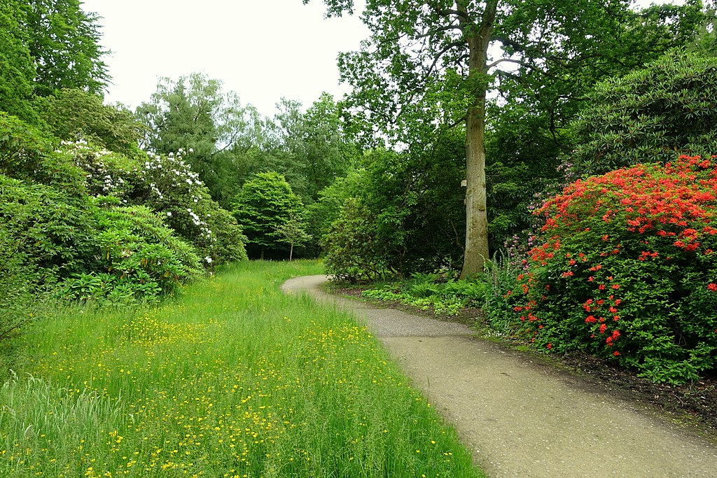 Harlow Carr Gardens