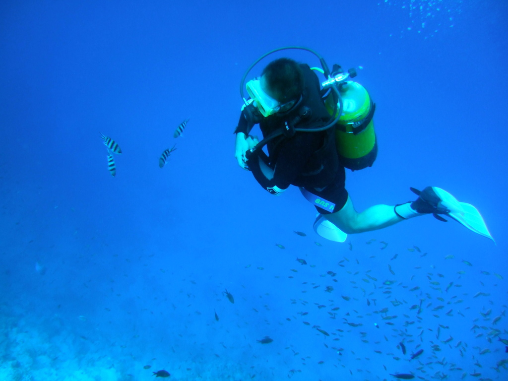 The Best Snorkeling and Diving Spots in Colombia