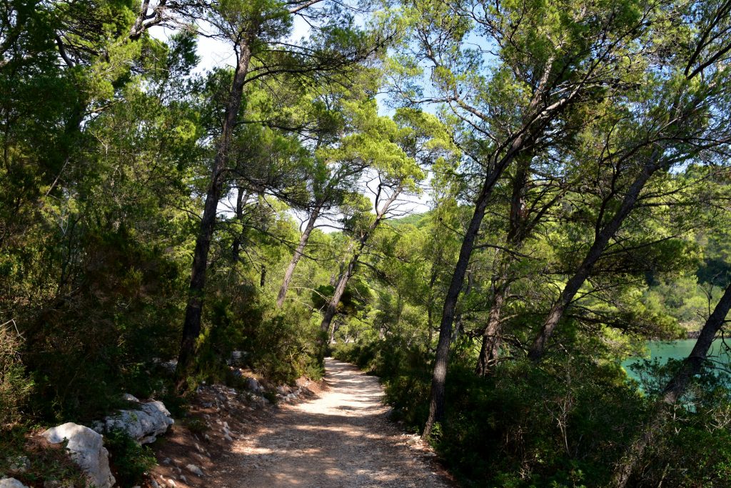 Mljet | © Richard Montel/Flickr
