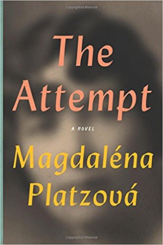 The Attempt | Bellevue Literary Press