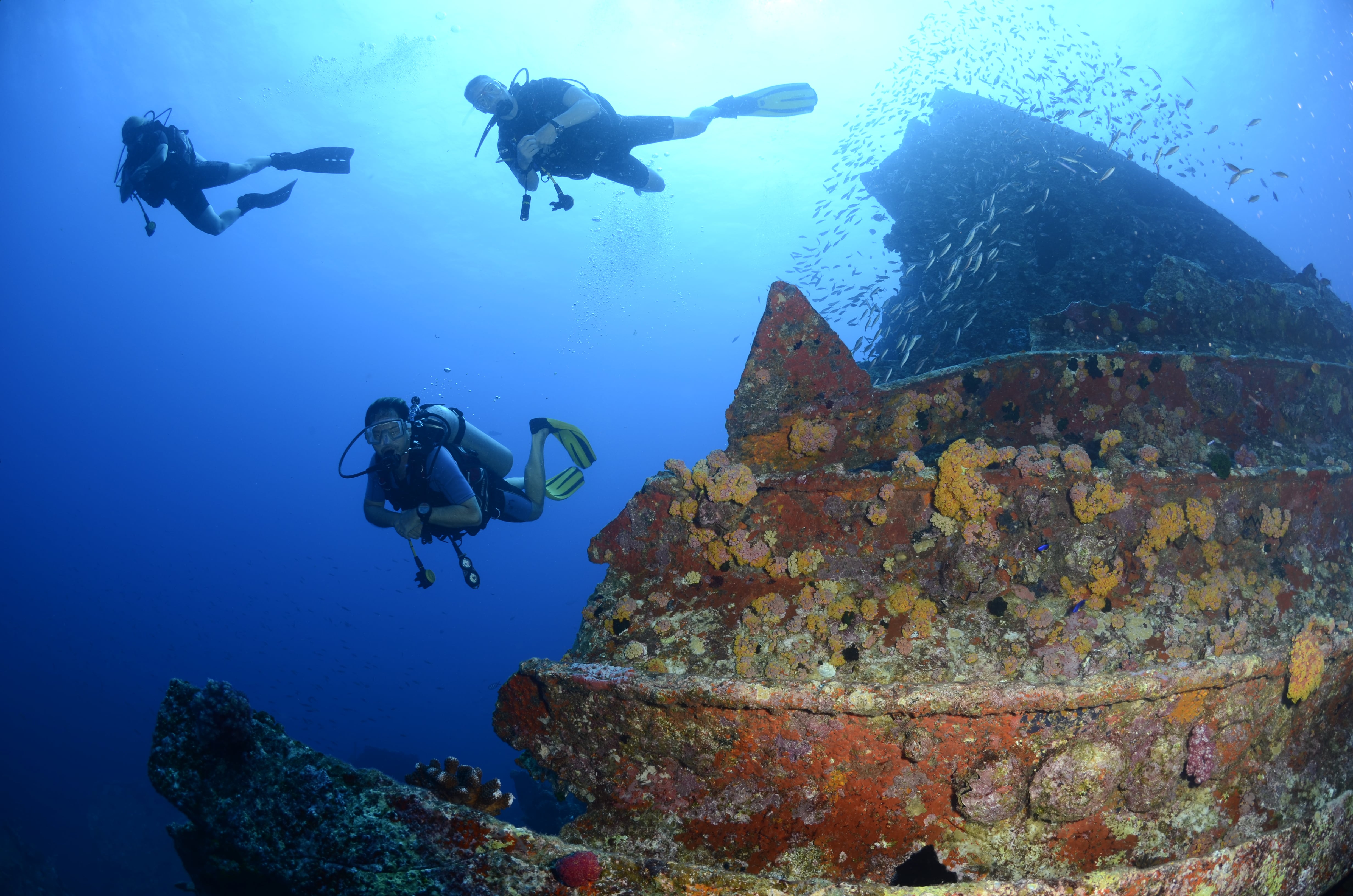 Divers guide to Seychelles - best dive spots