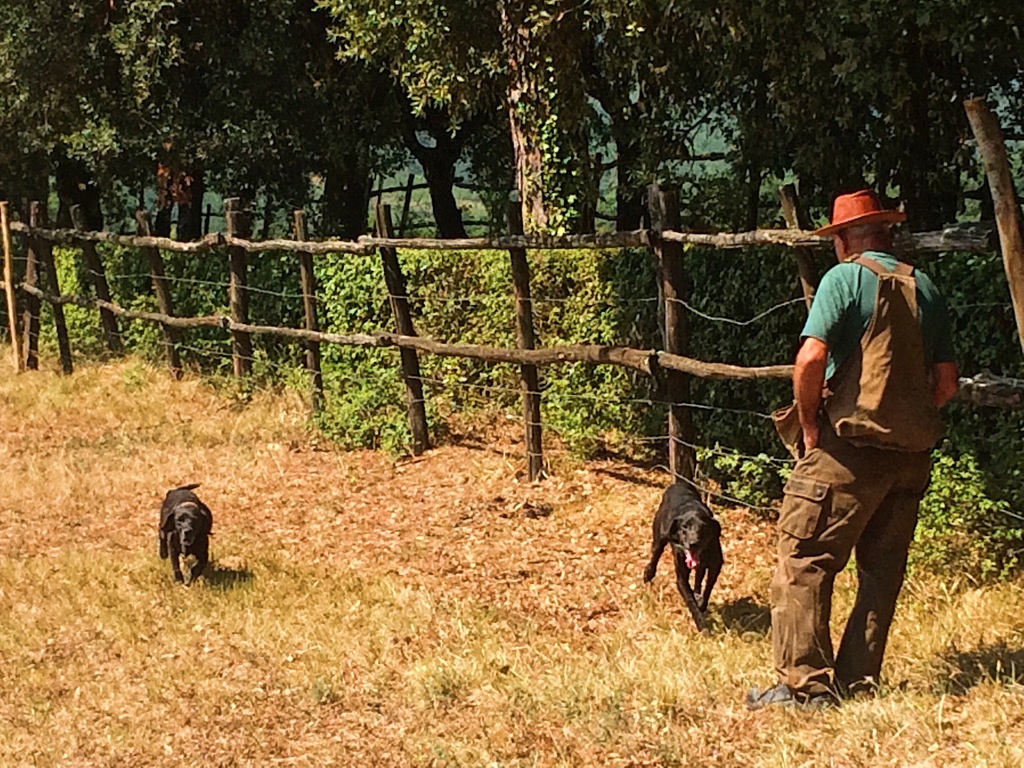 How to Hunt for Black Truffles in Umbria, Italy