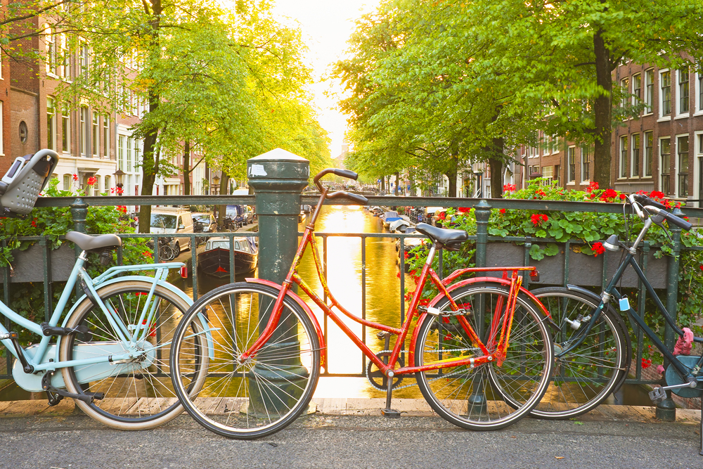 © Steve Photography/Shutterstock