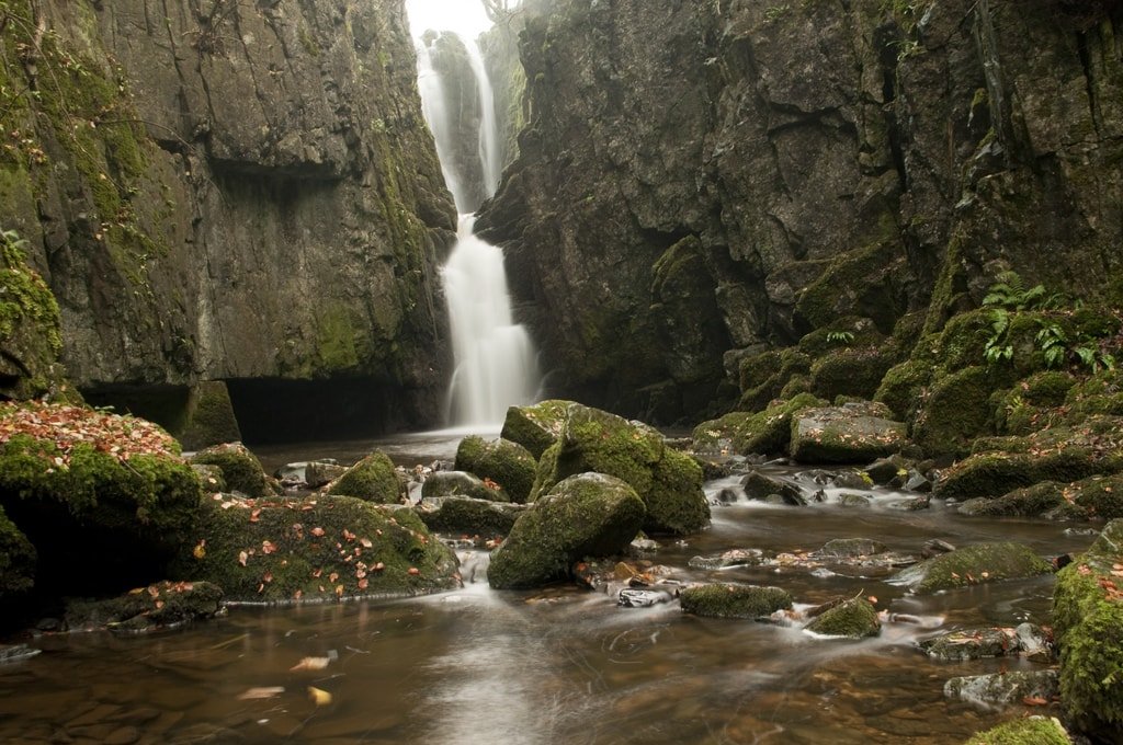 Catrigg Force