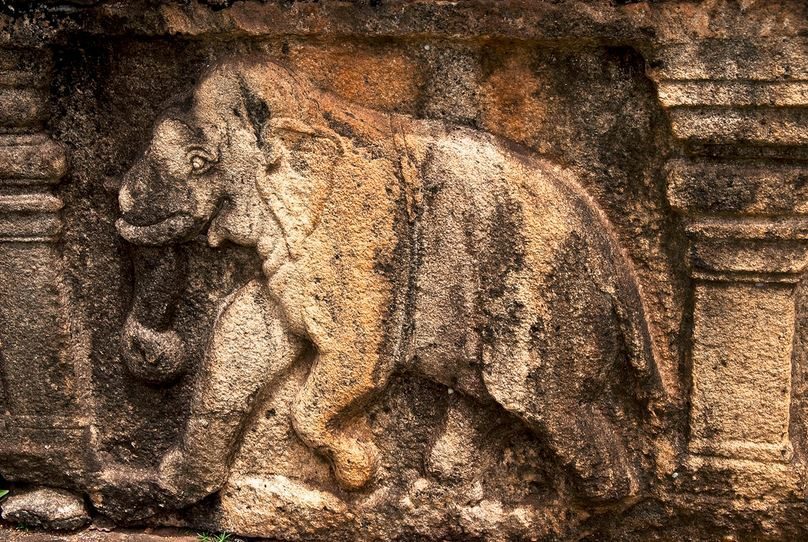 Elephant carving in Polonnaruwa, Sri Lanka | © Hafiz Issadeen/Flickr
