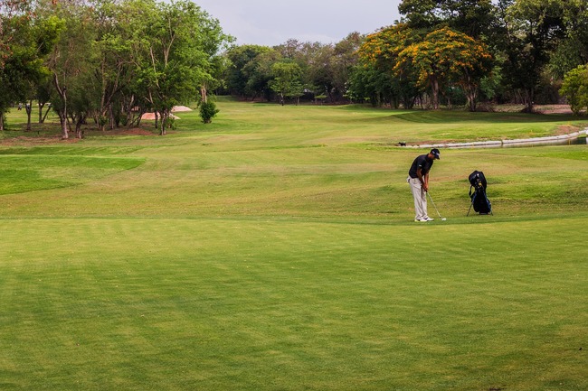 The Fairway