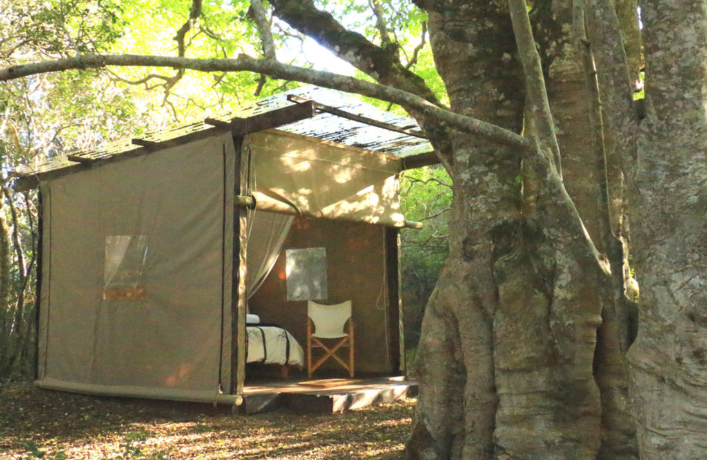 Luxurious Glamping Sites in South Africa