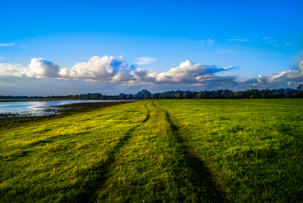 Port Meadow | © Justin Pinkney/Shutterstock