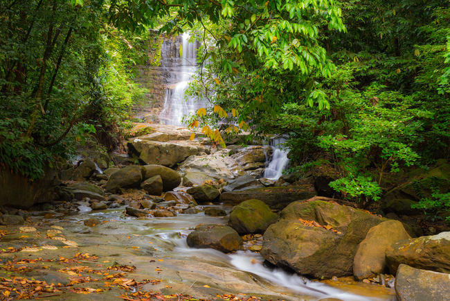 Rock pools and waterfalls amidst the dense jungle in Kubah National Park | © Fabio Lamanna/Shutterstock