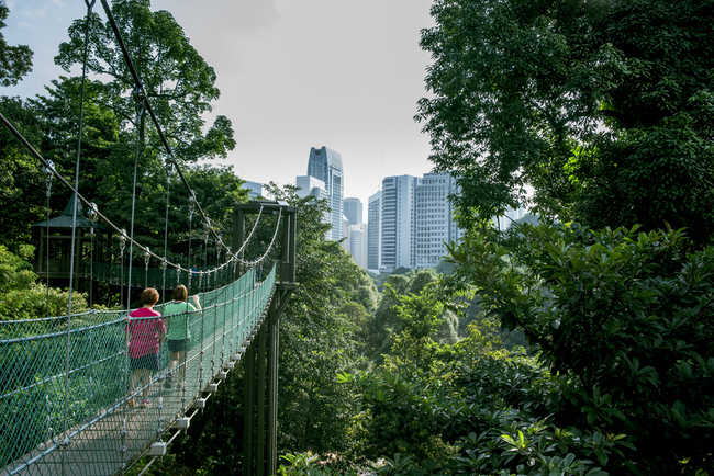 Walkways at the Kuala Lumper Eco Forest Park | © Zuhairi Ahmad/Shutterstock