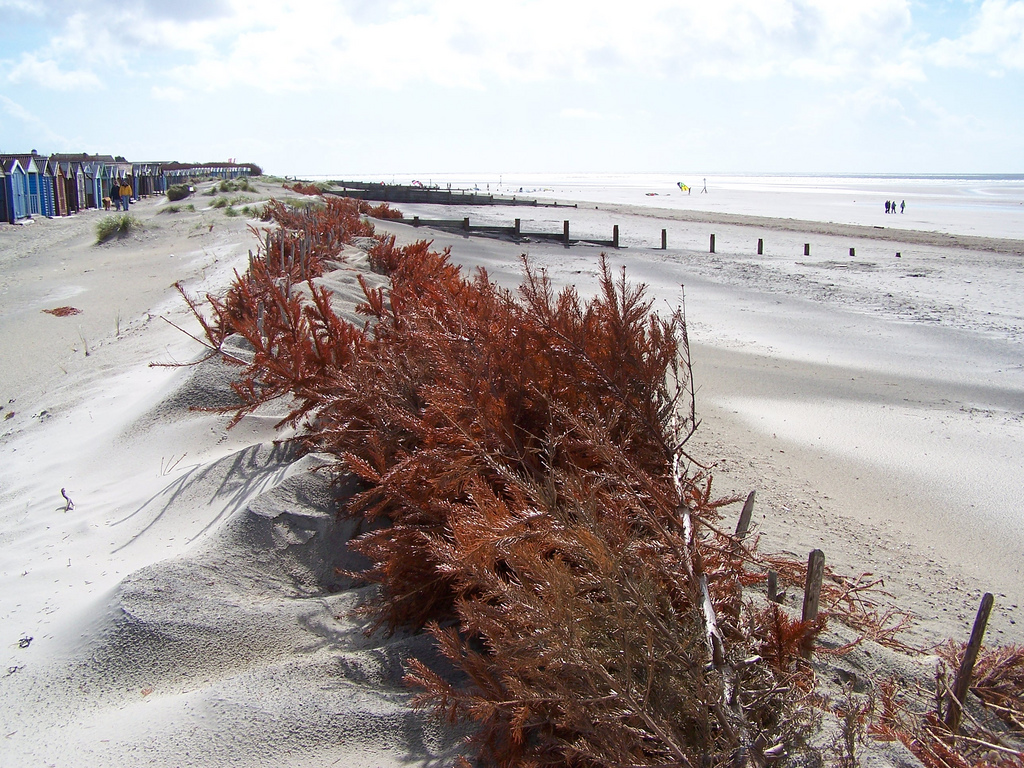 West Wittering