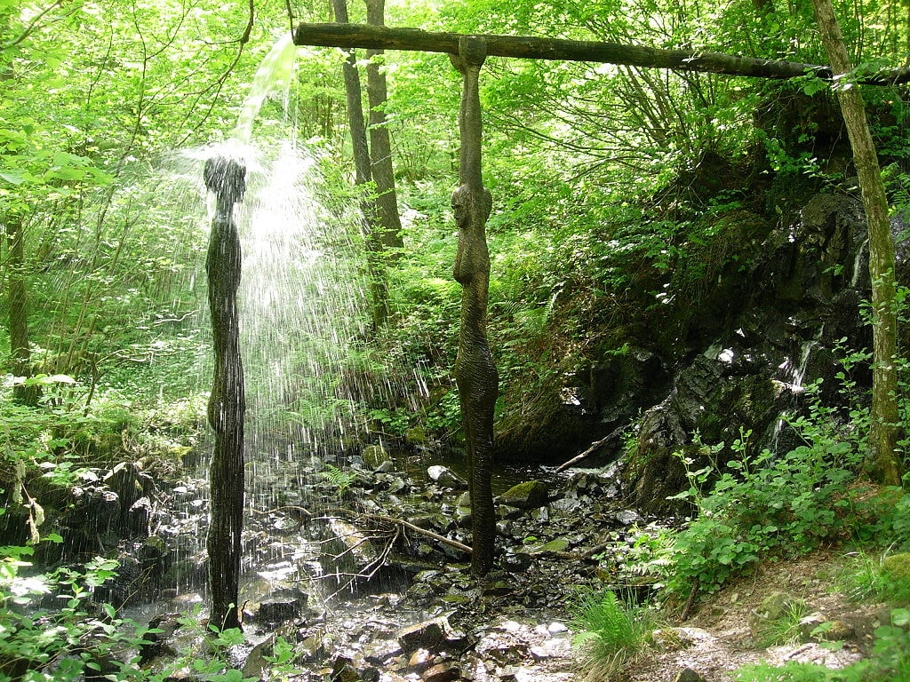 Grizedale Forest
