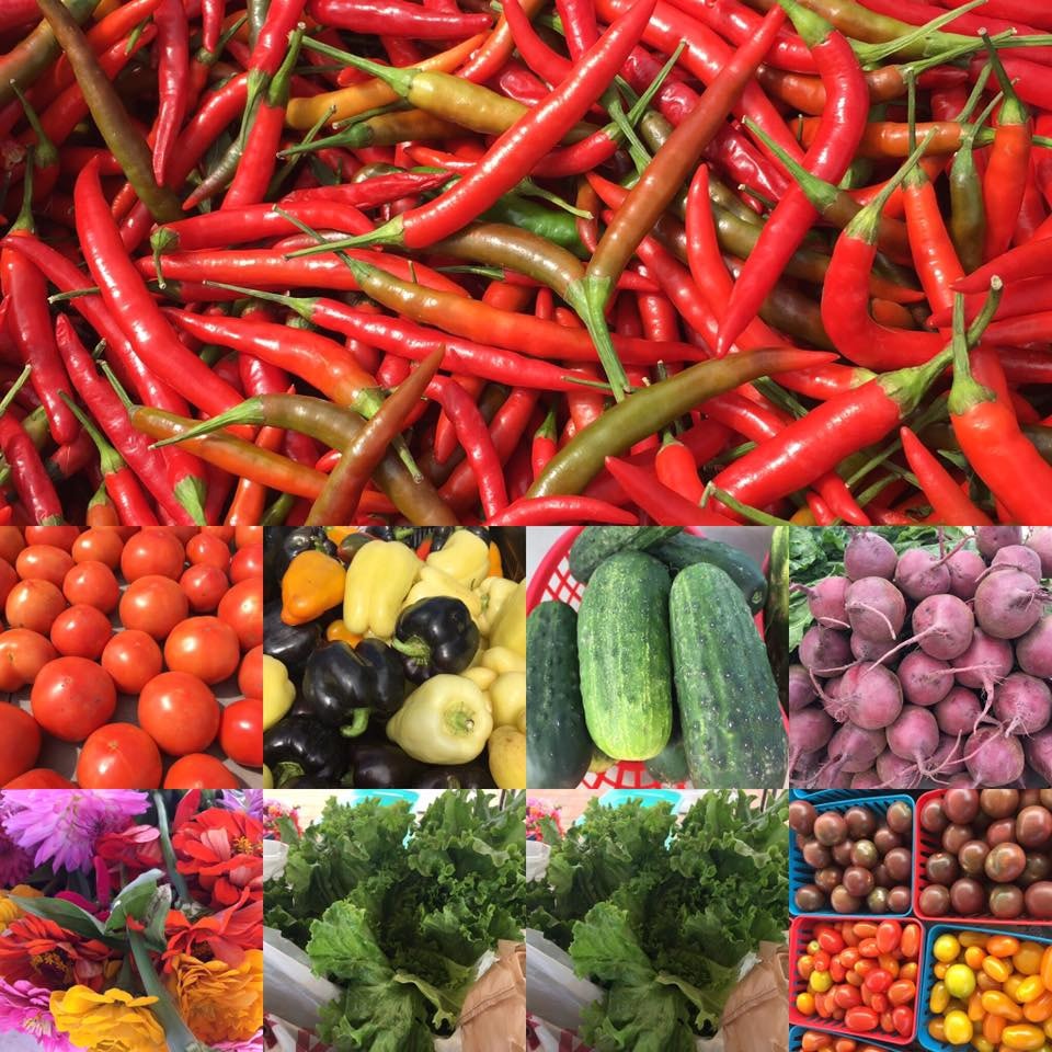 Garden District Farmer's Market | Courtesy of Garden District Farmer's Market