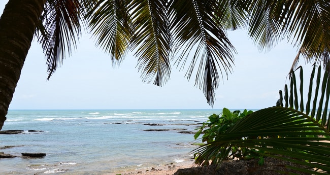 View onto the beach