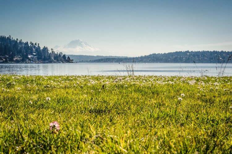 Mount Rainier from Seward Park Beach