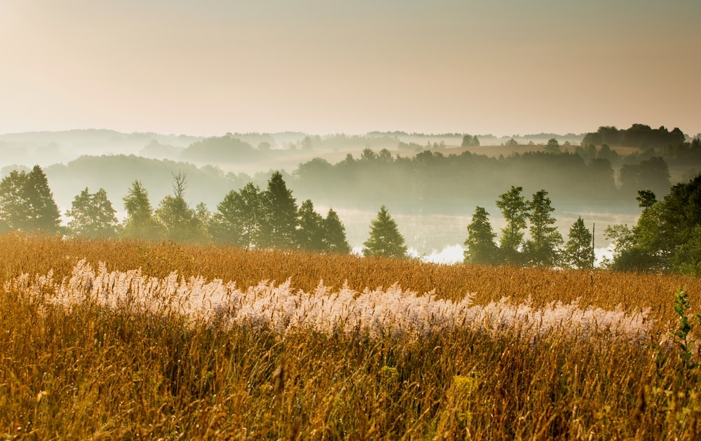 Lake in Lithuania | © Vytautas Knyva/Shutterstock