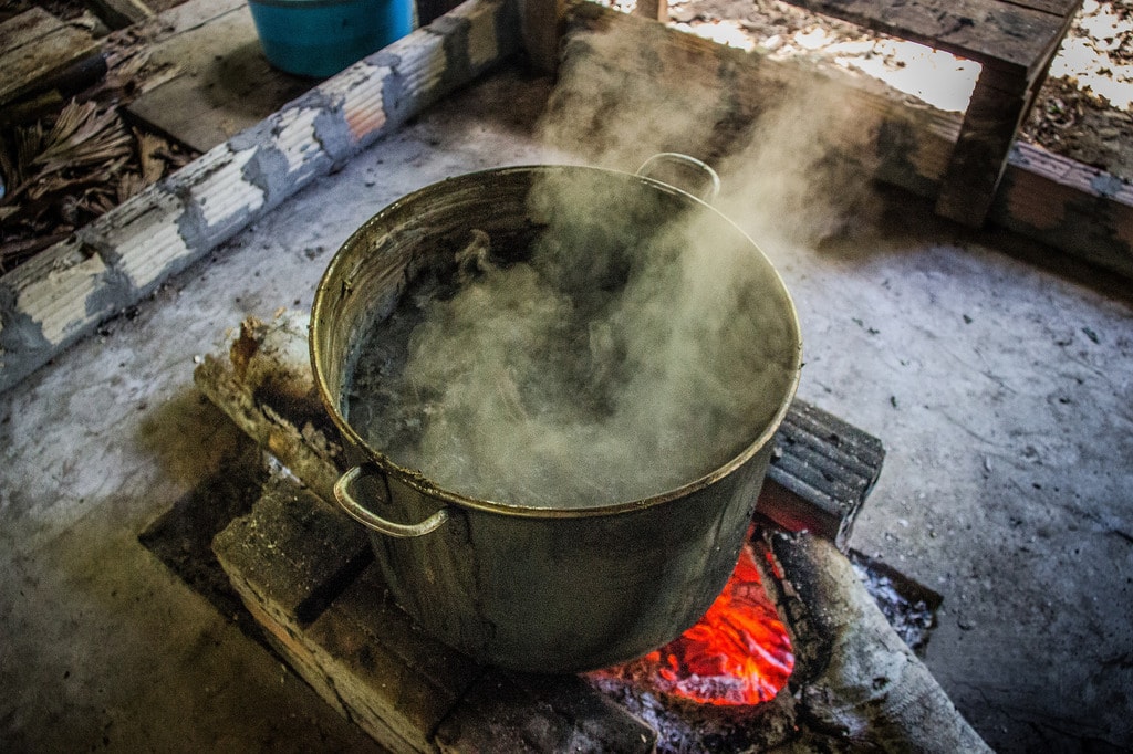 Ayahuasca brewing