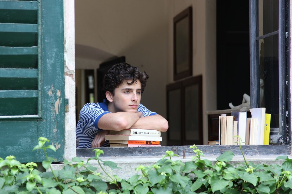 Timothée Chalamet as Elio<br />Courtesy of Sony Pictures Classics <br />