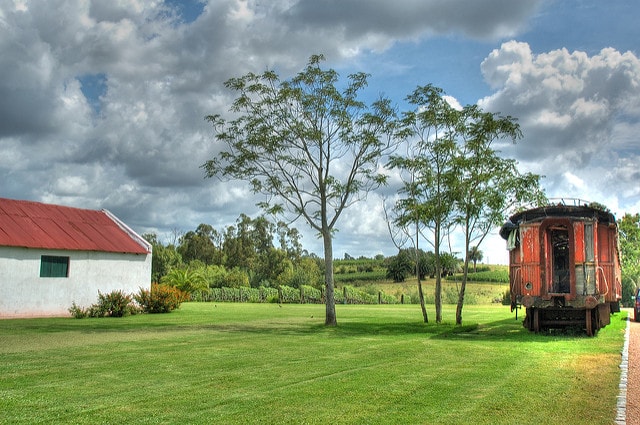 Bodega Bouza winery and vineyard, Montevideo, Uruguay