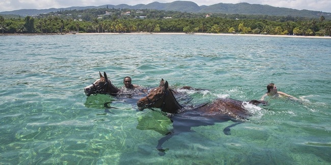 activity_horseriding02