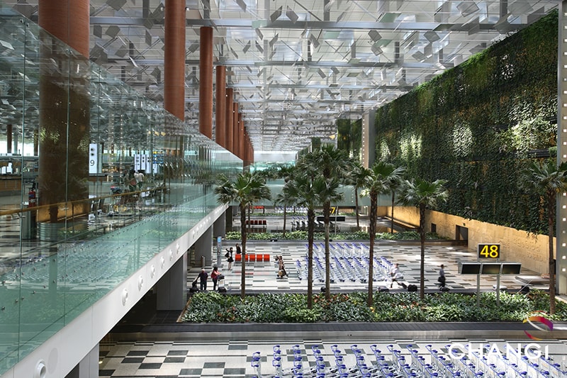 Terminal 3 – Green Wall & Baggage Belt