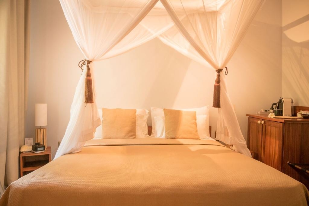 Cinnamon room interior