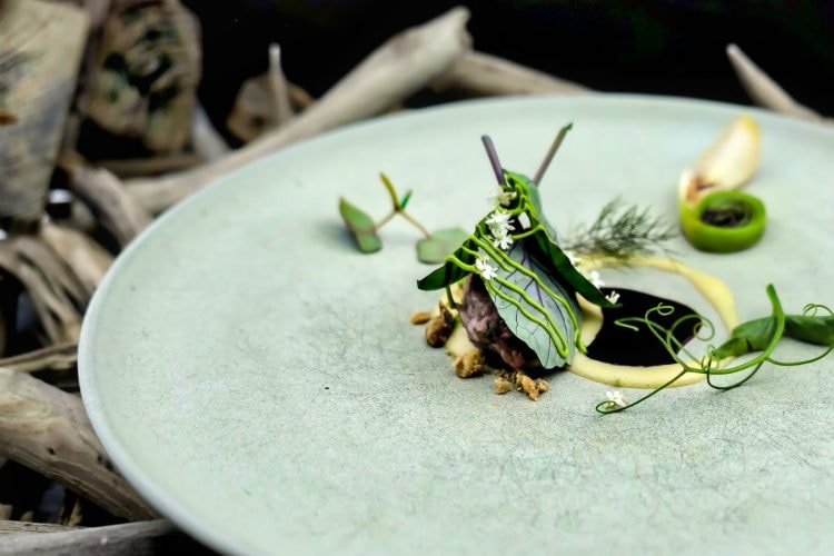 Lamb tartar