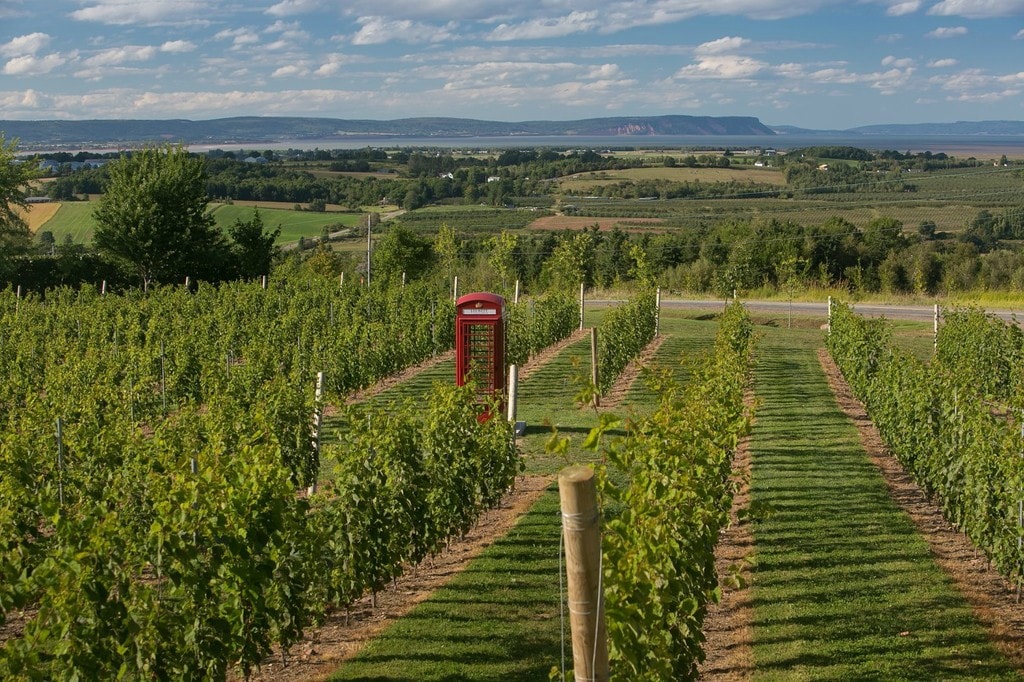 A Guide to Nova Scotia’s Wineries