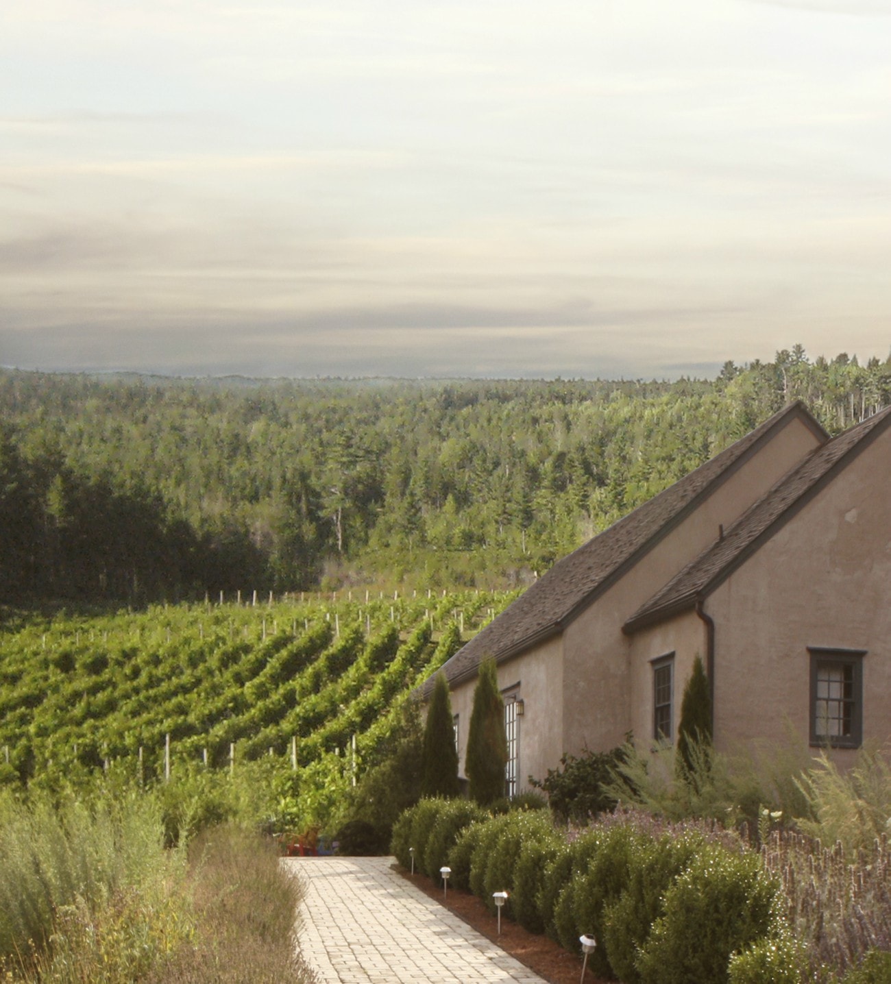 Best Wineries in Nova Scotia