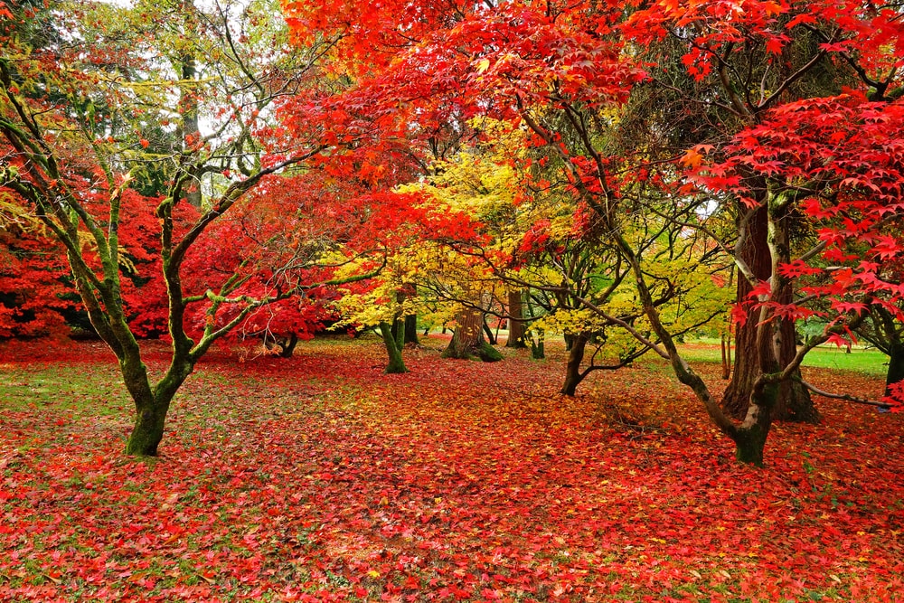 shutterstock_522959026