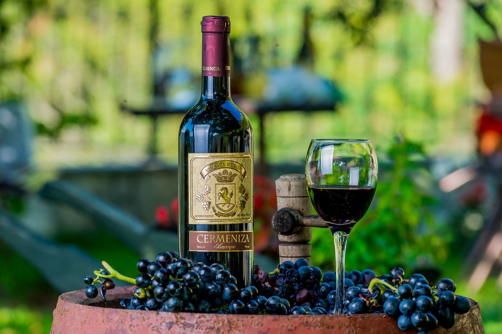 Montenegro winery | © Courtesy of Vinarija Djurisic