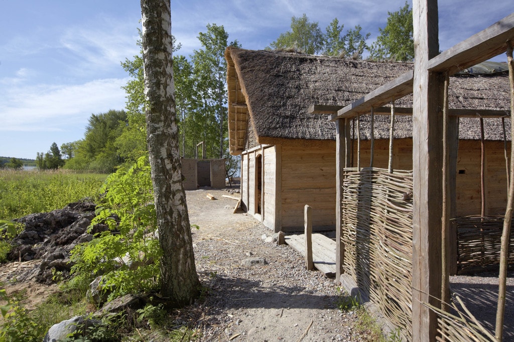 Viking village 2