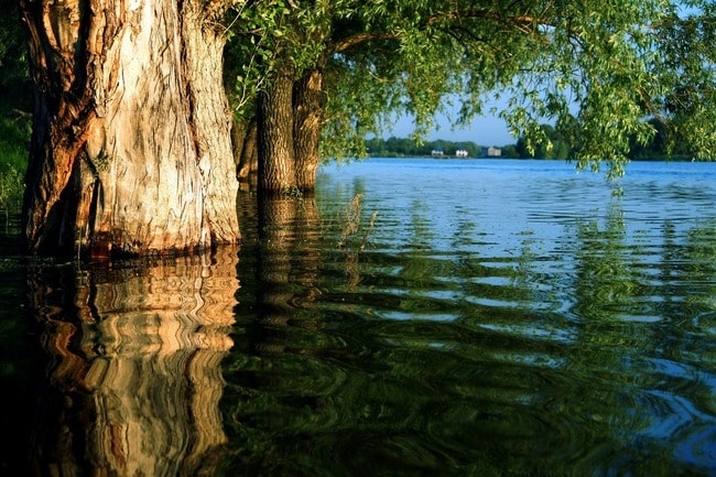 water-1999512_1920
