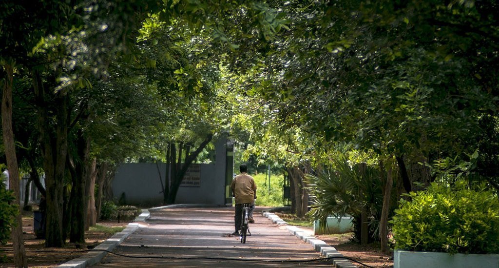 1024px-Guindy_National_Park,_Chennai