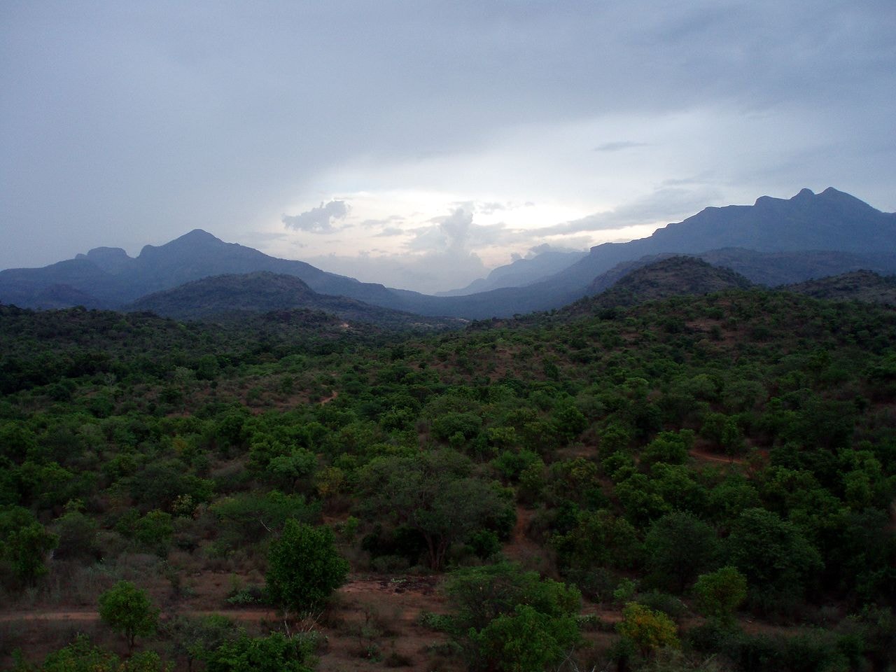 1280px-Chinnar_Wildlife_Sanctuary